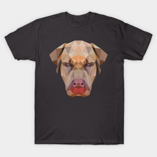 Pit Bull T-Shirt